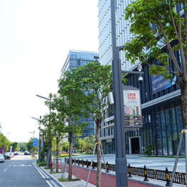 广州白云湖项目