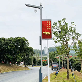 深圳虹桥公园智慧路灯项目